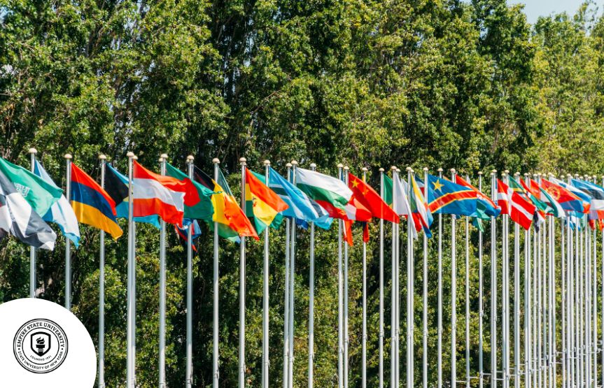 Πτυχίο στις Διεθνείς Σχέσεις